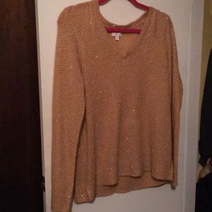 Gold sequin sweater.
